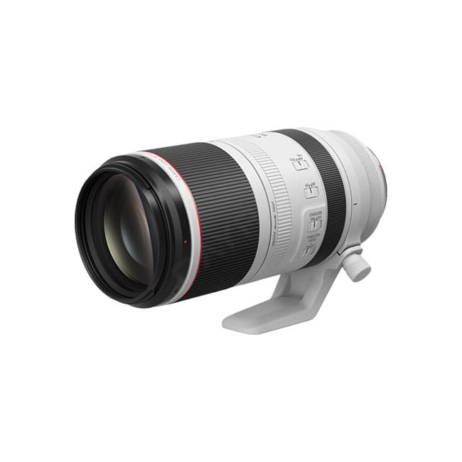 RF100-500mm F4.5-7.1L IS USMの詳細画像 2