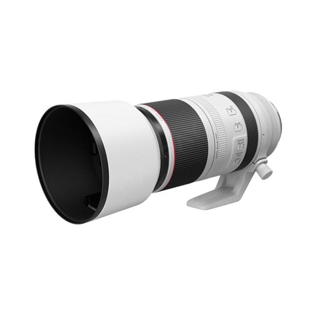 RF100-500mm F4.5-7.1L IS USMの詳細画像 3